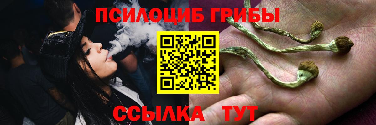 магазин продажи наркотиков  Вход с VPN  Псилоцибиновые грибы Psilocybine cubensis  Саки  Псилоцибиновые грибы MAGIC MUSHROOMS 